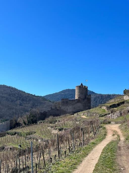 La Jolie Maison Bleue, Au Coeur De L'Alsace Кайзерсберг Экстерьер фото